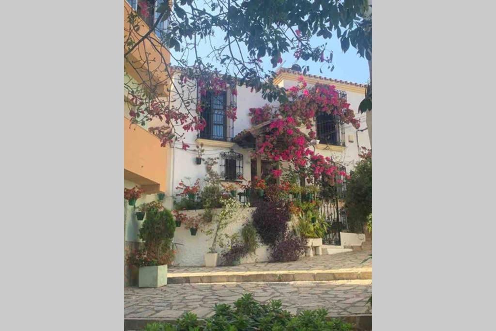 Appartement Palmeras Puerto Paraiso Estepona Exteriör bild