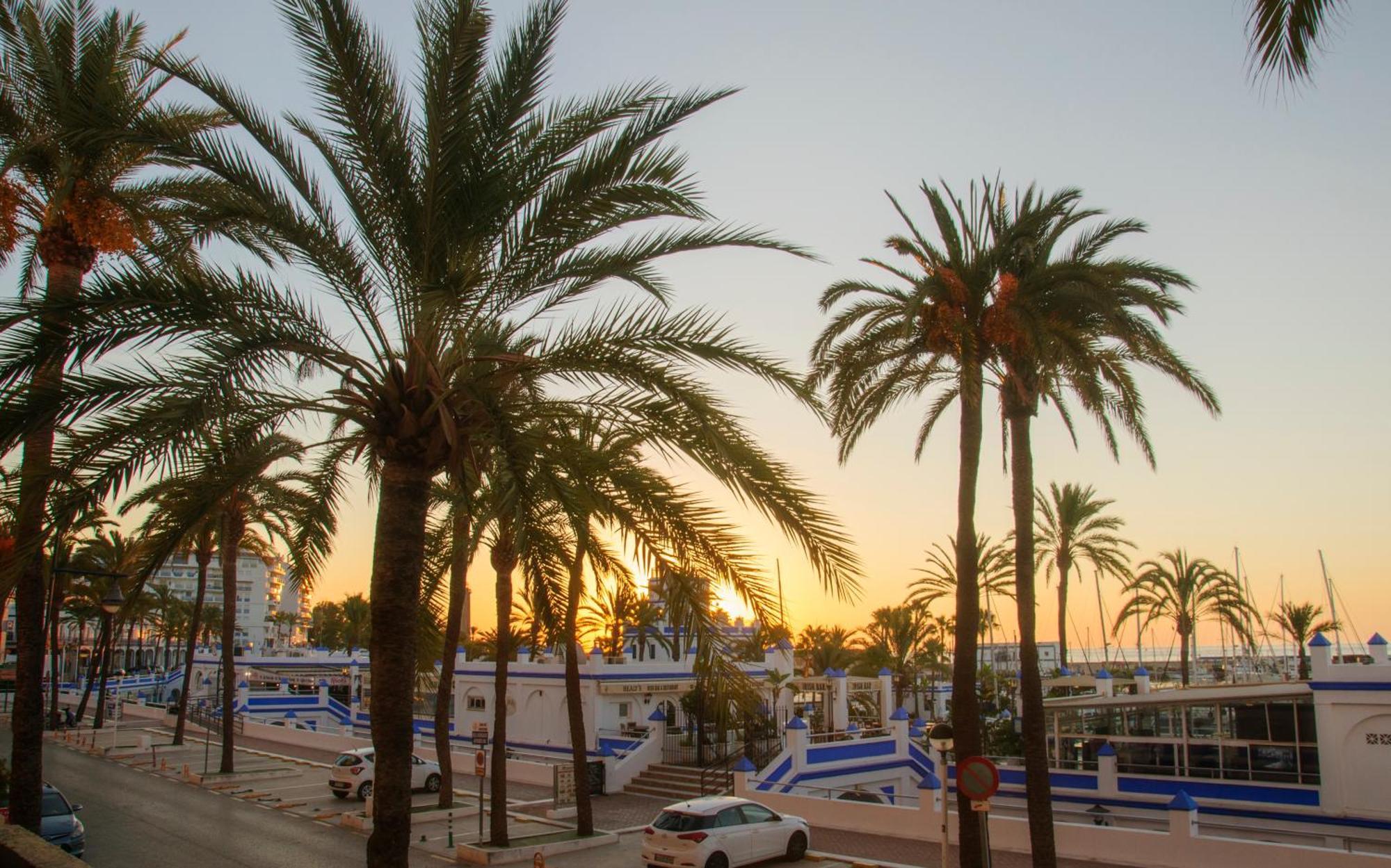 Appartement Palmeras Puerto Paraiso Estepona Exteriör bild